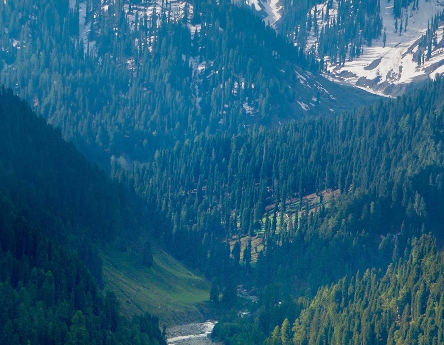 The Kashmir valley near Srinagar